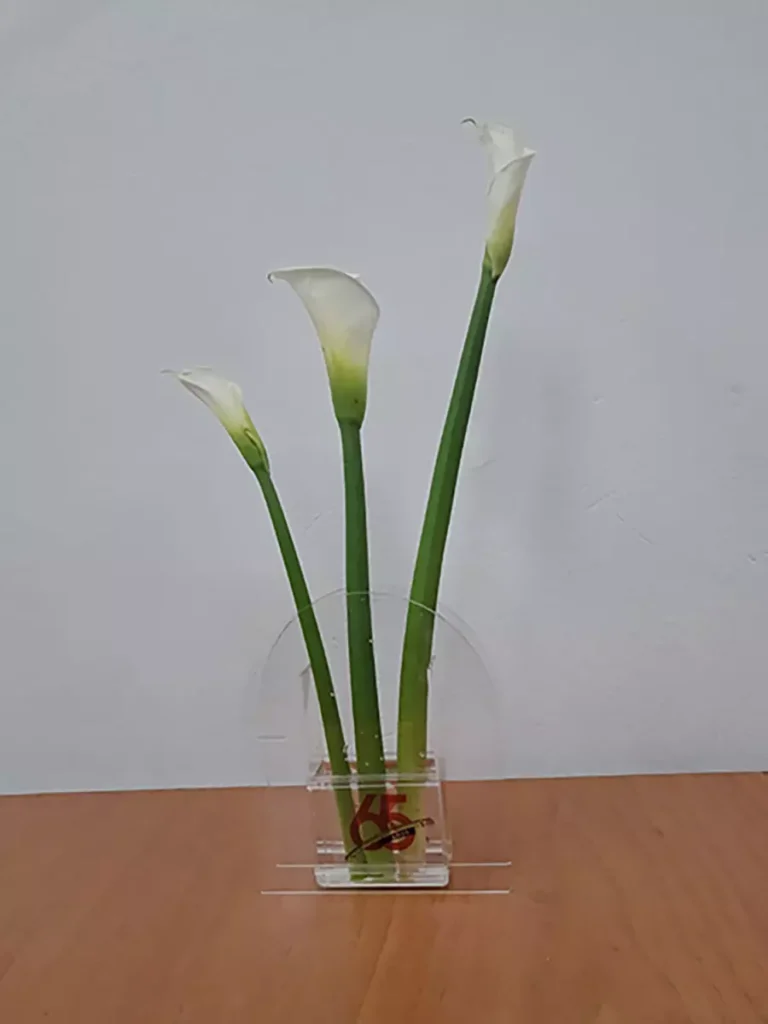 Tableros, accesorios y señalización en tableros acrílicos - C&T Suministros y Soluciones